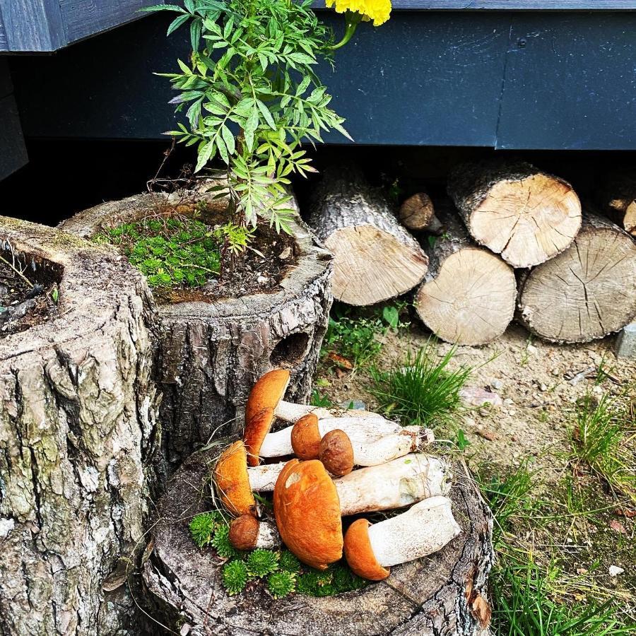 Koziula - Domki I Lesne Spa Na Kaszubach Przywidz  Exterior foto