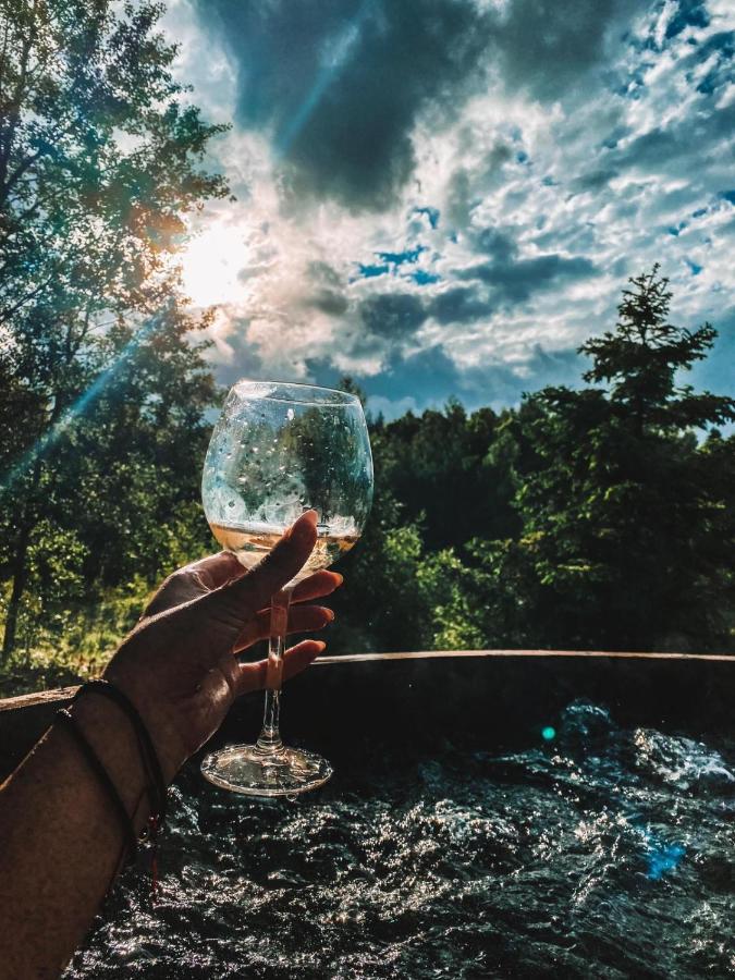 Koziula - Domki I Lesne Spa Na Kaszubach Przywidz  Exterior foto